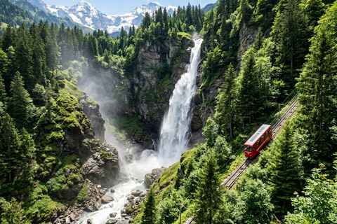 From Zurich: Four Waterfalls Private Tour