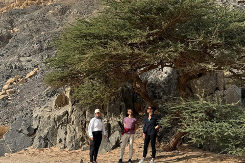 Hurghada: Hiking , dinner & stargazing Advanced hiking tour & camel ride