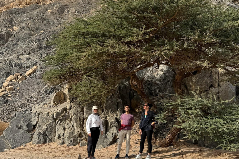 Hurghada: Hiking , dinner & stargazing Advanced hiking tour & camel ride