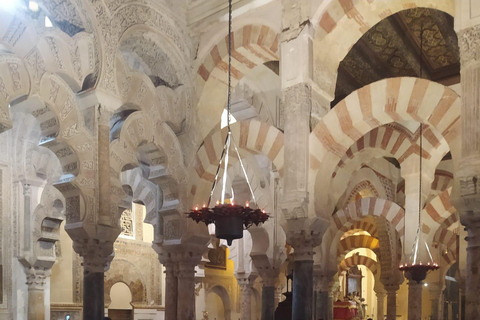 Visit the Mosque-Cathedral. Does not include entrance ticket Visit the Mosque-Cathedral. Does not include entry ticket