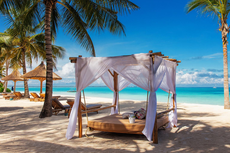 1 Day: Zanzibar trip to Spice and Forest