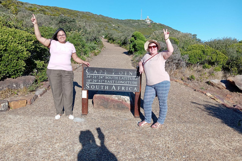 Ciudad del Cabo: Pingüinos y Cabo de Buena Esperanza Tour de medio día