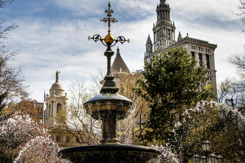 NYC: Vedi più di 30 attrazioni principali in un giorno - I bambini si iscrivono gratis!