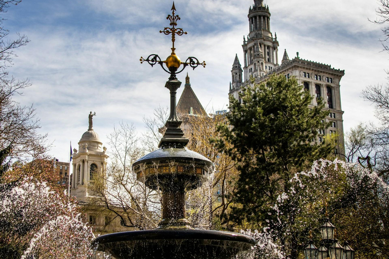 NYC: Vedi più di 30 attrazioni principali in un giorno - I bambini si iscrivono gratis!