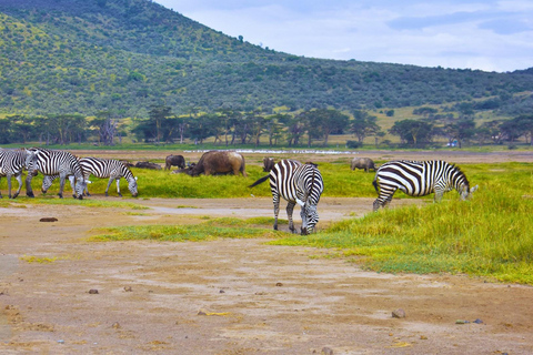 Viagem de 1 dia ao Lago Nakuru saindo de NairóbiViagem de um dia ao Lago Nakuru saindo de Nairobi