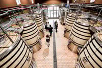 Da Saint-Emilion, tour elettrico di mezza giornata - Housity