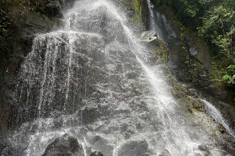 Waikiki: Hidden Hawaii Waterfall Hike and Beach Tour