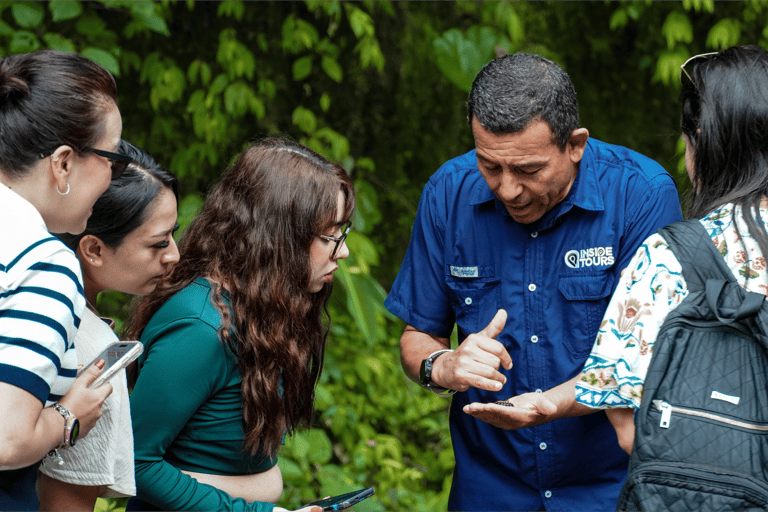Poas Coffee tour, La Paz Waterfall, Grecia and Sarchí Crafts