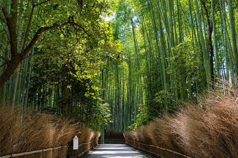 Osaka/Kyoto: Fushimi Inari, Kiyomizu & Arashiyama Day Tour 8:00 AM | Osaka Departure – Osaka Drop-off