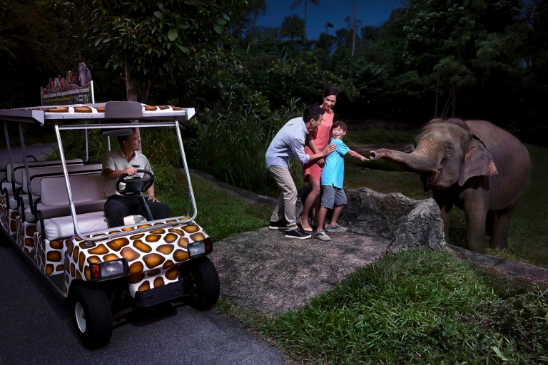 Singapur: Nächtliche Safari mit Straßenbahnfahrt & TransferNächtliche Safari: Dschungeltour mit Hotelabholung