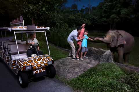 Singapore: Night Safari Ticket, Tram Ride, & Return Transfer
