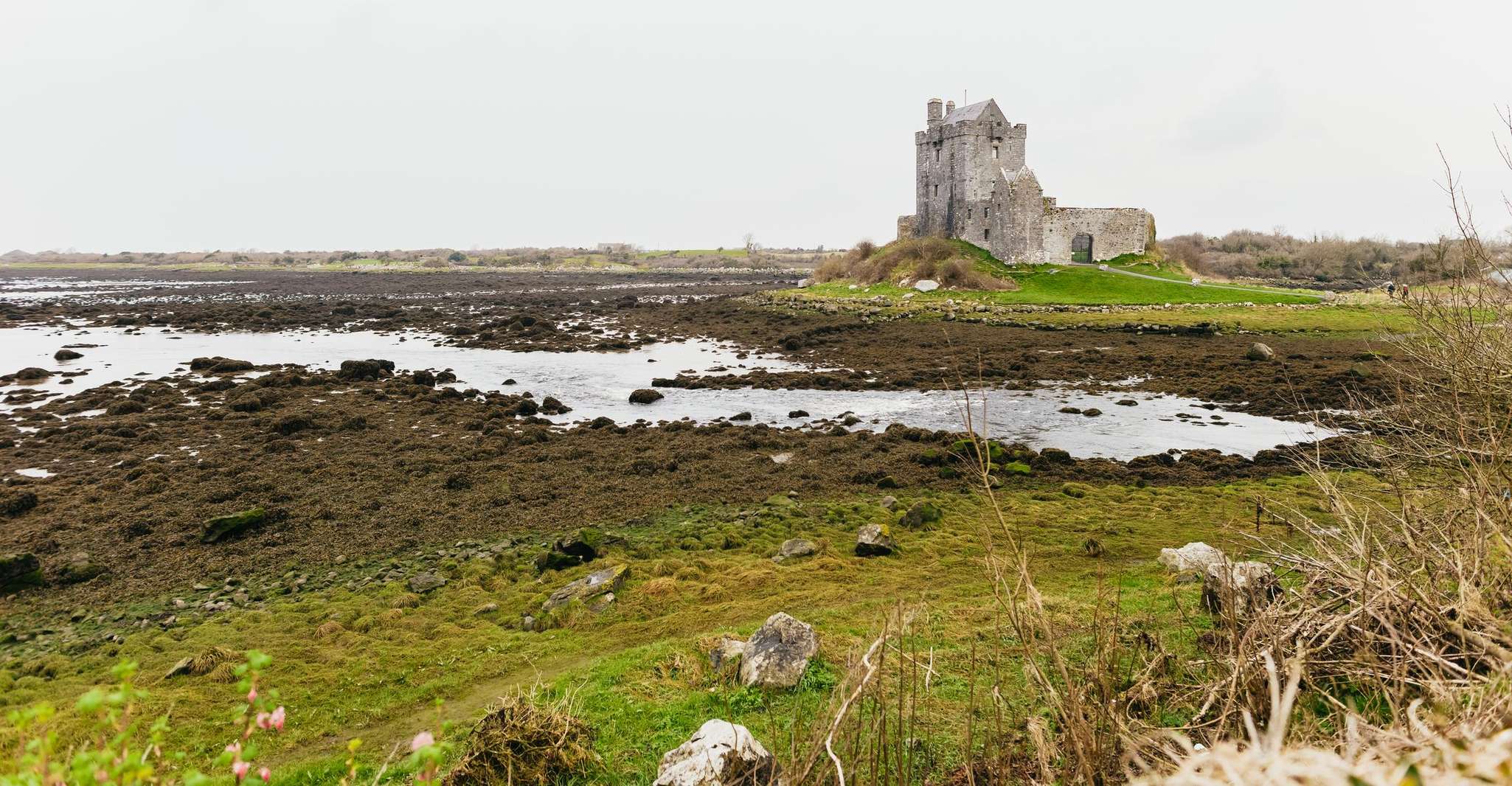 From Galway: Cliffs of Moher and The Burren Guided Day Trip photo 9