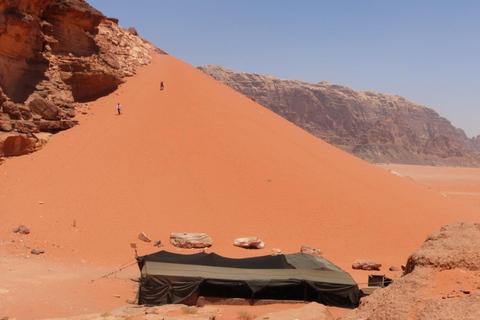 Wadi Rum: Famous place UNESCO Jeep Tour Camel Ride Option Full-Day Tour Hiking Jordan's Highest Mountain