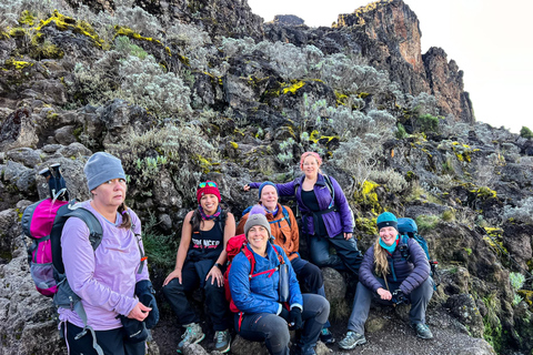 5 dias de escalada do Kilimanjaro Rota de Marangu