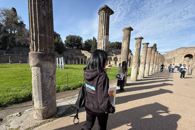 Depuis Sorrente : visite des ruines de Pompéi et du Vésuve OU de Pompéi uniquement