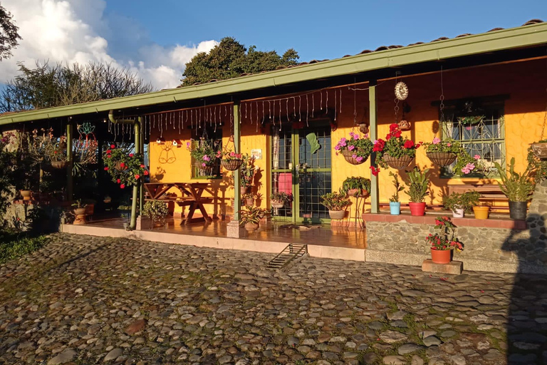 Medellín: Coffee Farm Tour Santa Bárbara, Antioquia (Share)
