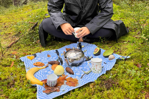 Forest Bathing in Stockholm nature with certified guide Forest bathing with tea-ceremony in mossy nature reserve