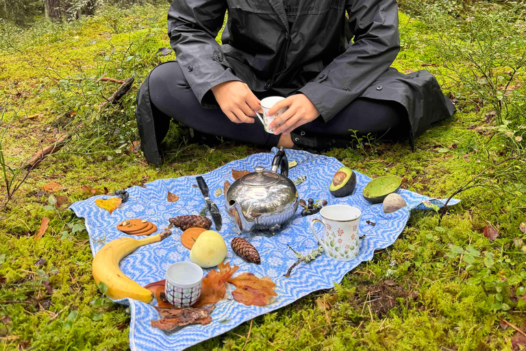 Forest Bathing in Stockholm nature with certified guide Forest bathing with tea-ceremony in mossy nature reserve