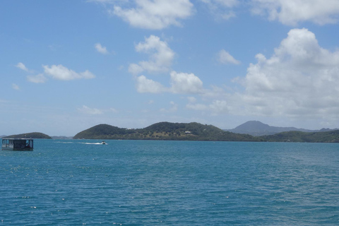 A day at sea to discover the lagoons of the Îlets du François A day trip to the lagoons of François