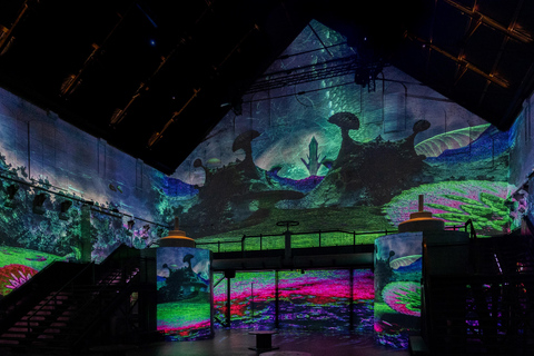 Amsterdam: Fabrique des Lumières De Zee Toegangsbewijs