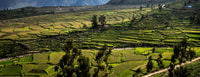 De Arequipa | Excursión al Colca Canyon que termina en Puno. - Housity