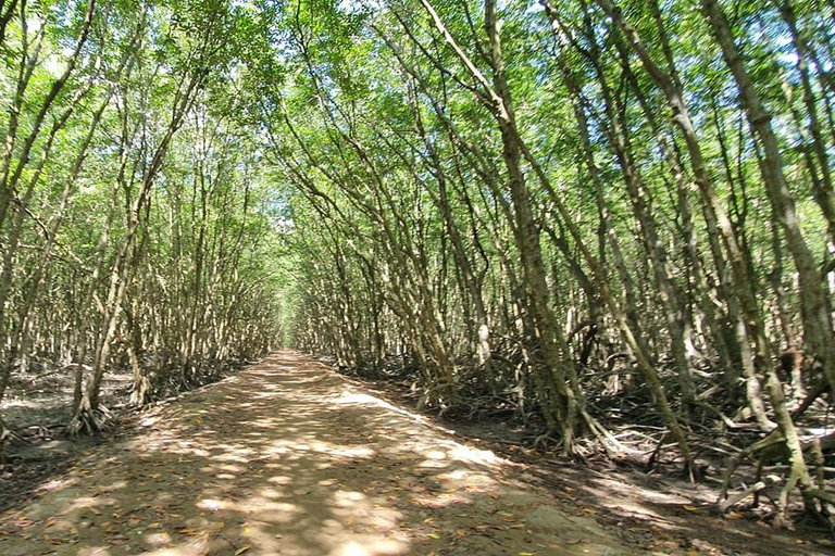 Depuis Ho Chi Minh : Excursion d&#039;une journée à la mangrove de Can Gio et à l&#039;île aux singes