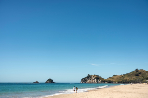 CATHEDRAL COVE & HOT WATER BEACH Day Tour from Auckland