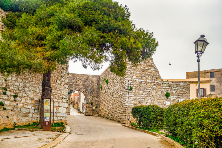 Segesta, Erice and Salt Pans Full-Day Excursion from Palermo
