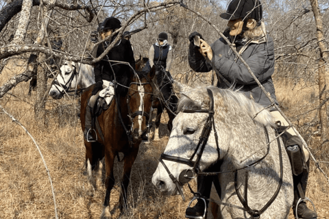 Franschhoek: Ganztagestour mit Reiten und Weinverkostung