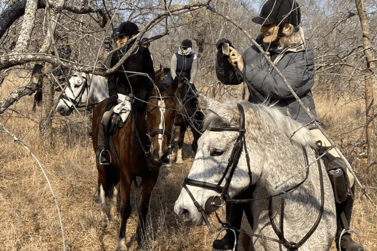 Franschhoek: Excursão de 1 dia a cavalo e degustação de vinhos