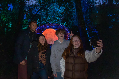 Queenstown: Whimsical Sensory Night Walk at LUMA Enchanted LUMA Enchanted - sensory illuminated walk