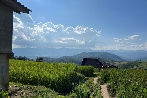 Terrazze di riso di Pa Pong Piang e Parco nazionale di Doi InthanonTerrazze di riso Pa Pong Piang e Parco Nazionale Doi Inthanon