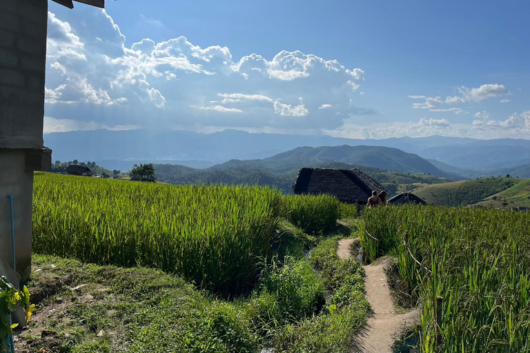 Terrazze di riso di Pa Pong Piang e Parco nazionale di Doi InthanonTerrazze di riso Pa Pong Piang e Parco Nazionale Doi Inthanon