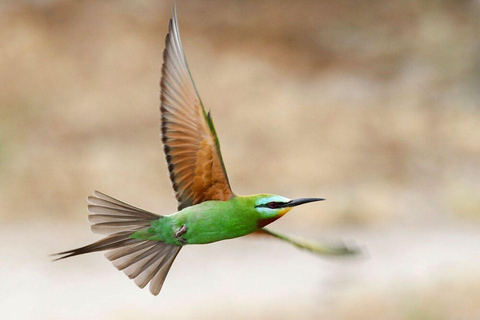 Baku: Southern Azerbaijan Hot Springs and Nature Tour 1-Day Lankaran Hot Springs Tour – Standard (No Meals)