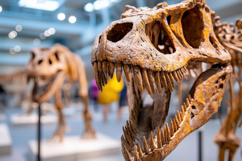 Houston Museum of Natural Science Private Tour with Tickets