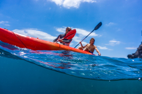 Funchal: KAYAK Rental or Guided tour with snorkelingKayak RENTAL ONLY with snorkeling