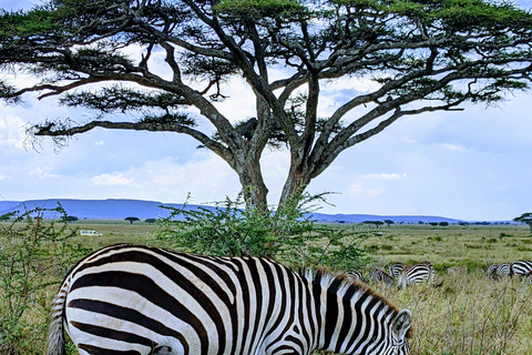 Arusha: excursión de un día al Santuario de Vida Silvestre Serval con almuerzoArusha: excursión de un día al Santuario de Vida Silvestre Serval con almuerzo incluido
