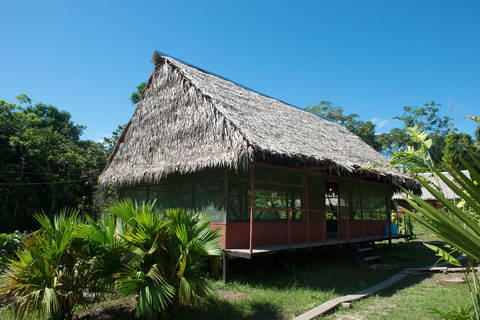 Iquitos: 2-Day Amazon Jungle Adventure with Lodge Stay
