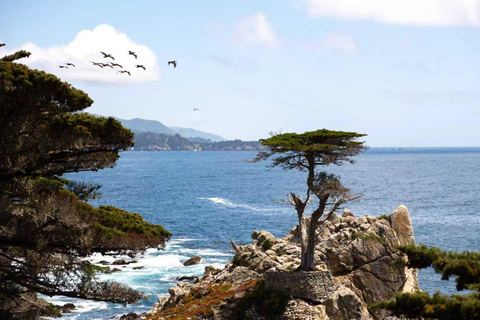 Best of Monterey Peninsula & Carmel-the-Sea Small Group Tour