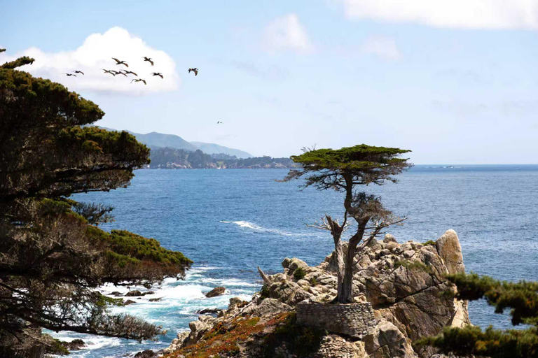 Best of Monterey Peninsula & Carmel-the-Sea Small Group Tour