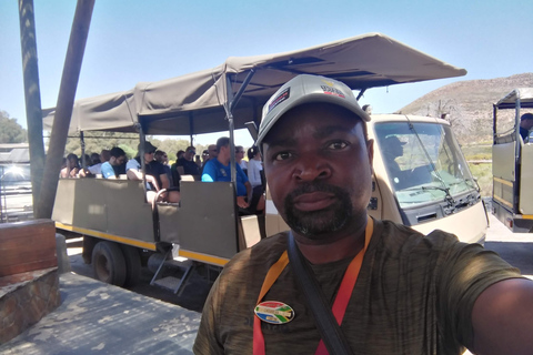Cape Town: Aquila Big Five Safari with Private Transfers Sunset Safari