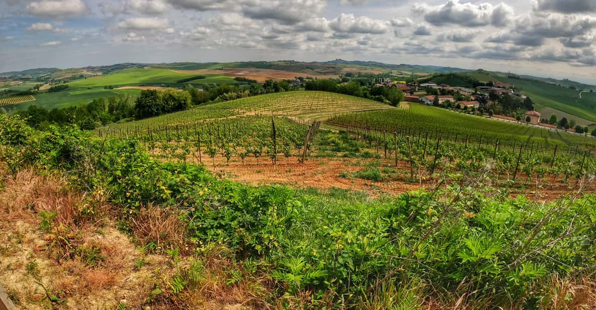 Afbeelding 6 van Monferrato: begeleide tour met MTB E-Bike om de wijngaarden te ontdekken