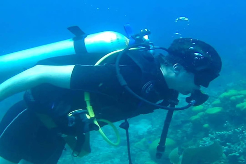 Punta Cana: Catalina Island Scuba Diving Day Trip