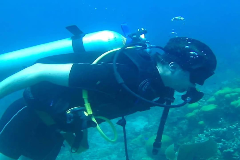 Punta Cana: Catalina Island Scuba Diving Day Trip