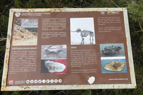 Eendaagse spannende tocht naar het Vashlovani Natuurreservaat