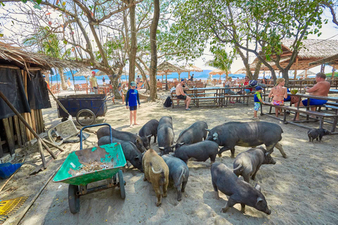 Koh Samui: Pig Island Tour by Speedboat with Snorkeling Private Tour or Cruise Ship Option