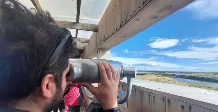 Galería de fotos para redes