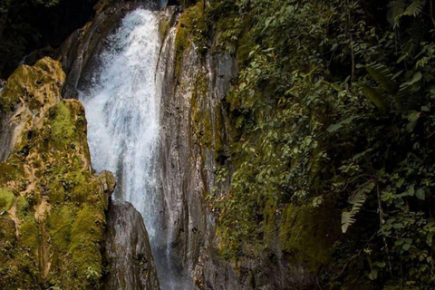 Tingo María : Honolulu et les chutes de Chullachaqui