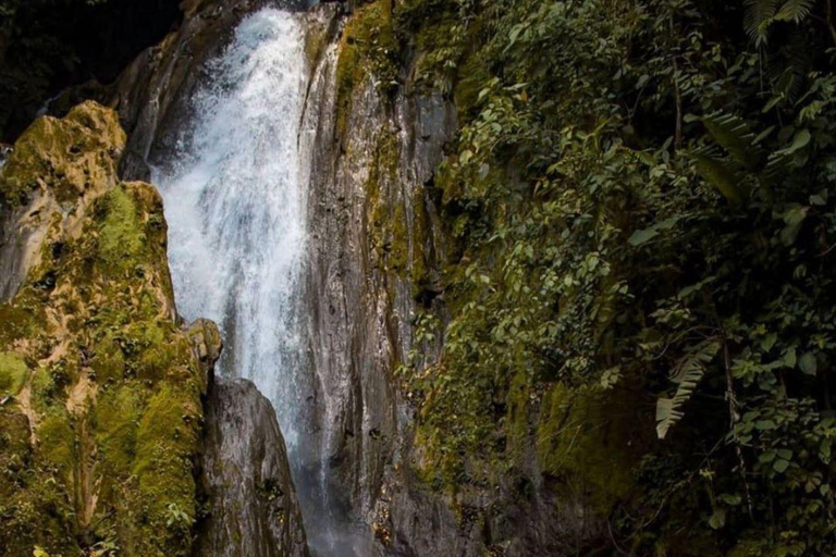 Tingo María : Honolulu et les chutes de Chullachaqui
