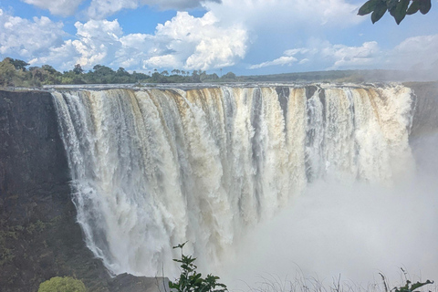 Victoria Falls Tour:Guided Walk with Female Guide